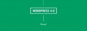 wordpress-4-benny-codegroen-website-ontwikkeling